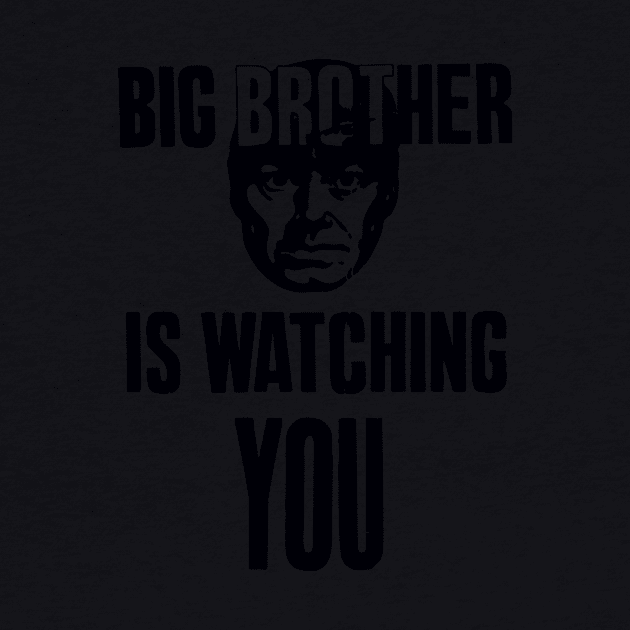 Big Brother Is Watching You by Flickering_egg